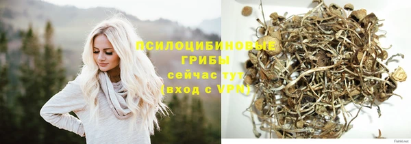 синтетический гашиш Ельня